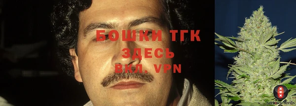 дживик Липки
