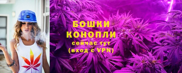 apvp Лихославль