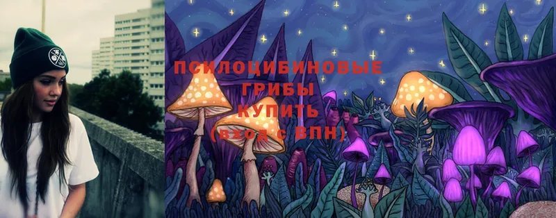 Псилоцибиновые грибы Psilocybe  Подпорожье 