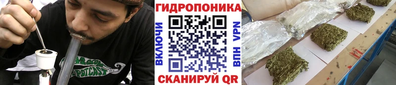 продажа наркотиков  Подпорожье  кракен ТОР  Бошки Шишки план 